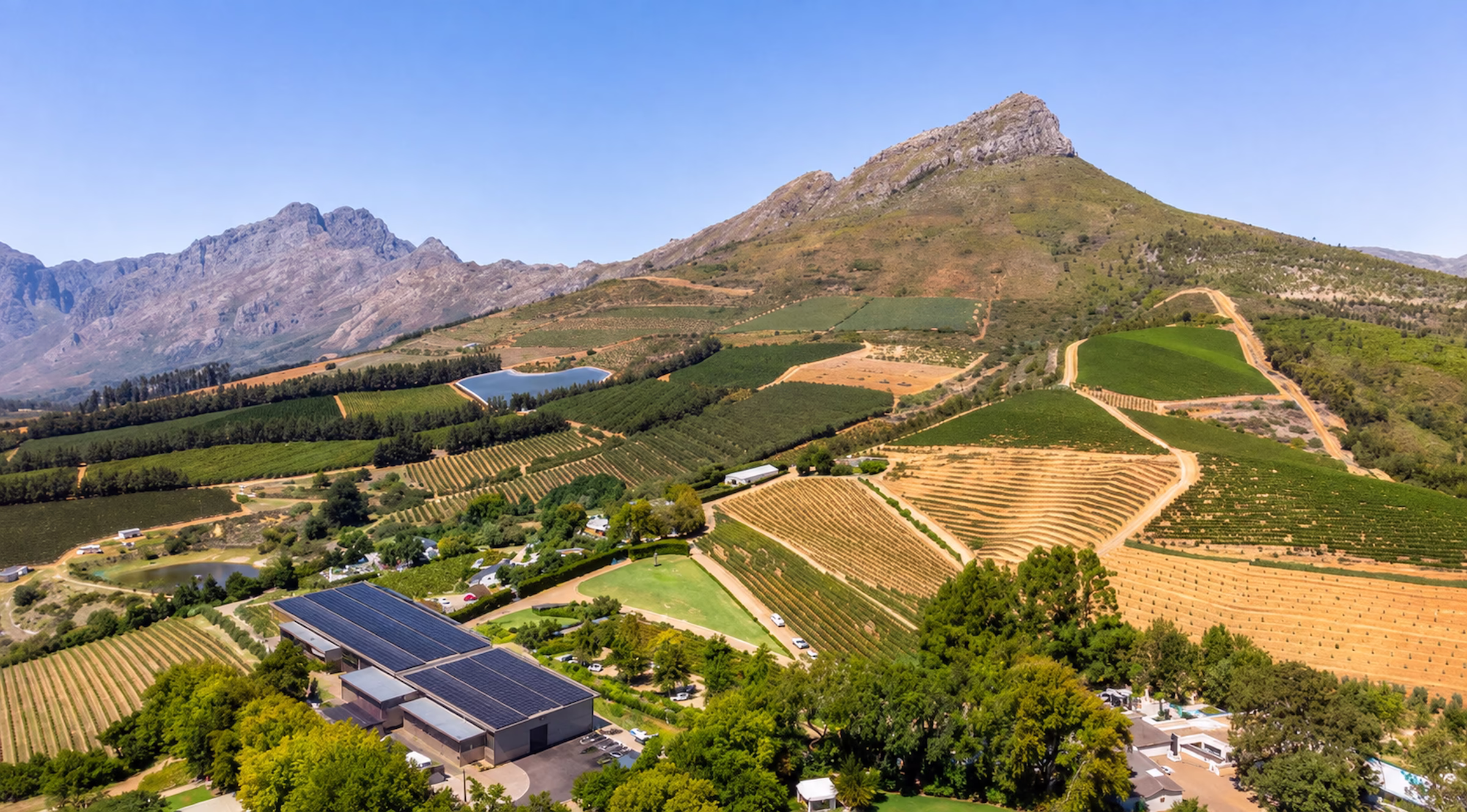 Killian Family Wine Farm solar plant, Stellenbosch